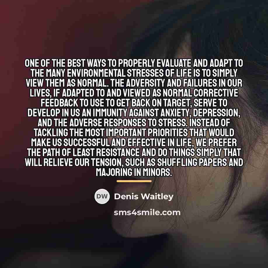 “One of the best ways to properly evaluate and adapt…” quote by Denis Waitley