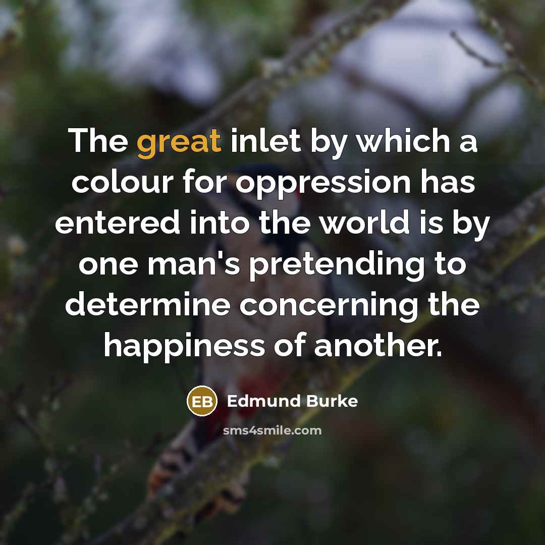 “The great inlet by which a colour for oppression has…” quote by Edmund Burke