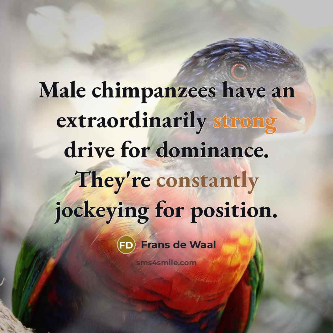 “Male chimpanzees have an extraordinarily strong drive for dominance. They're constantly jockeying for position.” quote by Frans de Waal