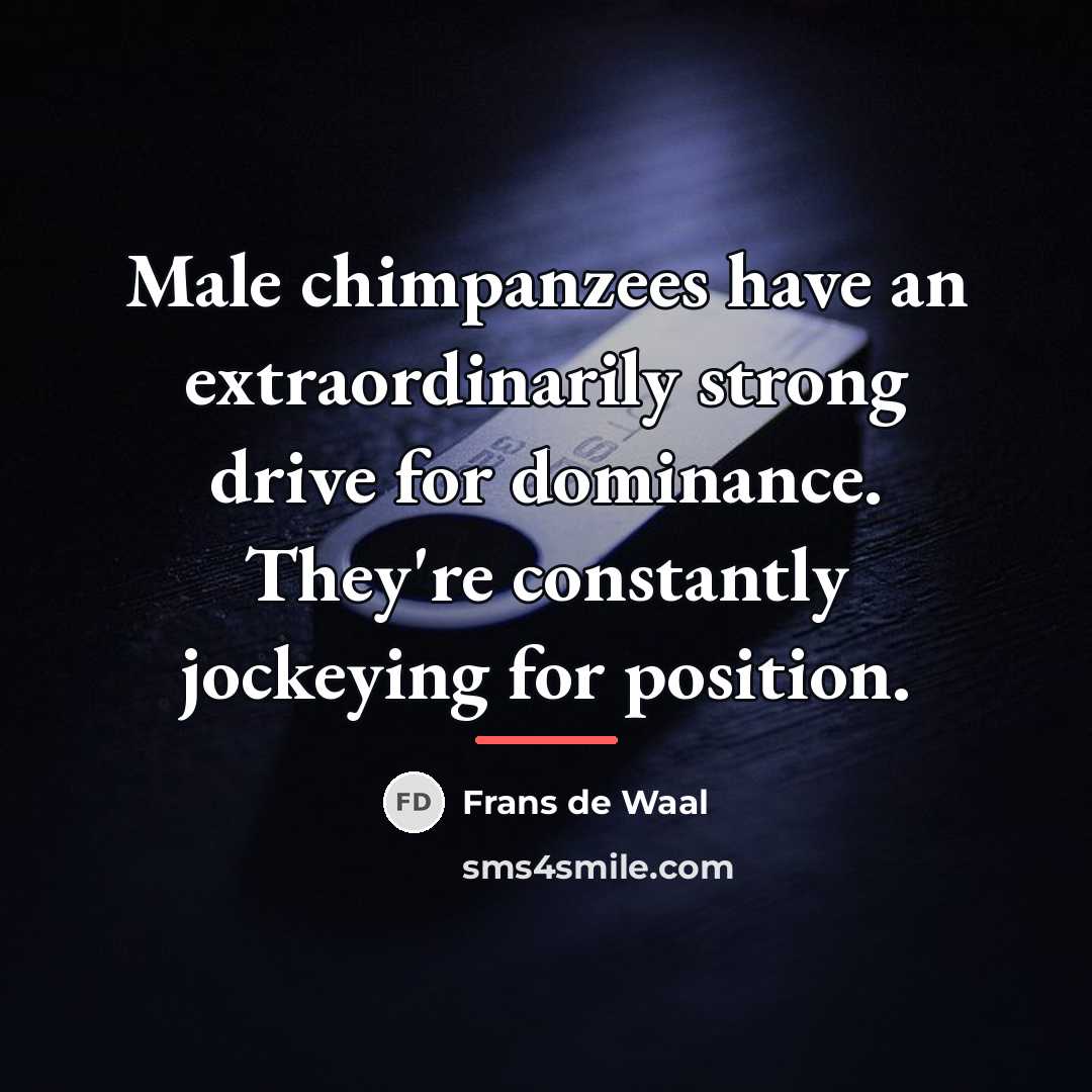 “Male chimpanzees have an extraordinarily strong drive for dominance. They're…” quote by Frans de Waal