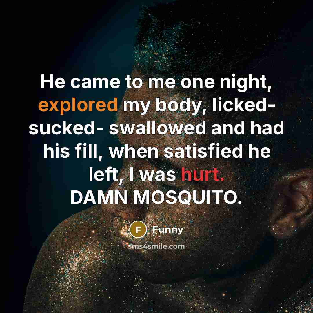 “He came to me one night, explored my body, licked- sucked- swallowed and had his fill, when satisfied he left, I was hurt. DAMN MOSQUITO.” quote by Funny