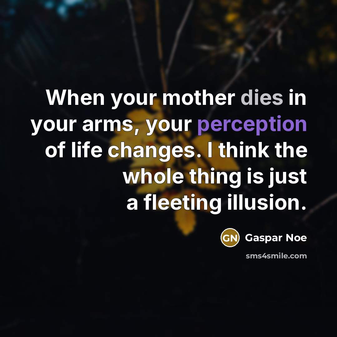 “When your mother dies in your arms, your perception of life changes. I think the whole thing is just a fleeting illusion.” quote by Gaspar Noe