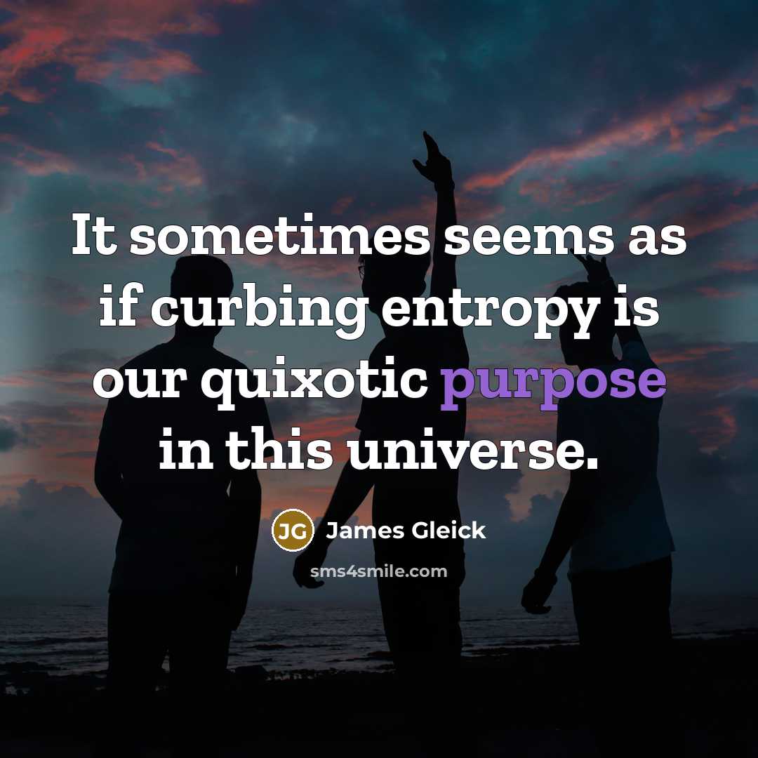 “It sometimes seems as if curbing entropy is our quixotic…” quote by James Gleick