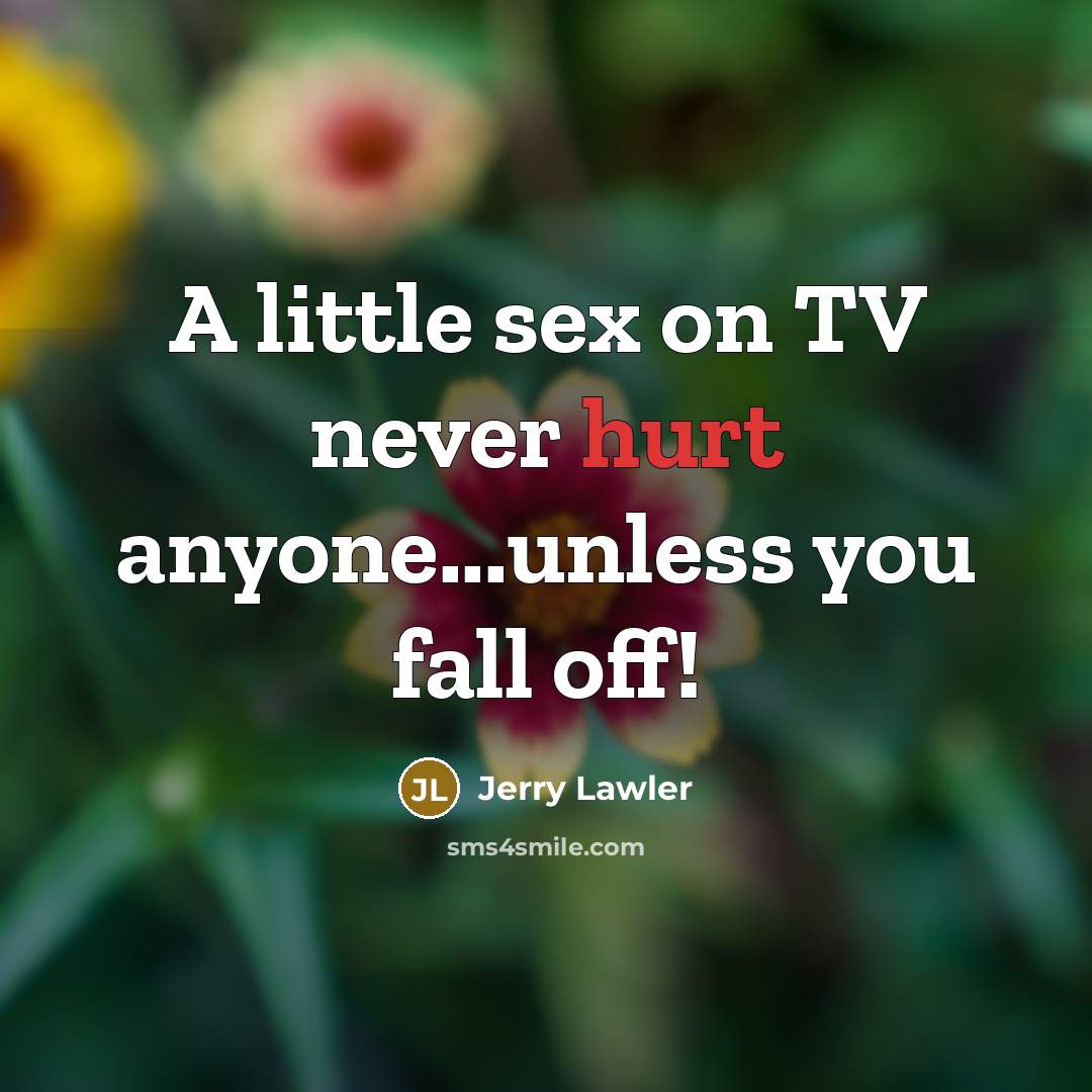 “A little sex on TV never hurt anyone...unless you fall…” quote by Jerry Lawler