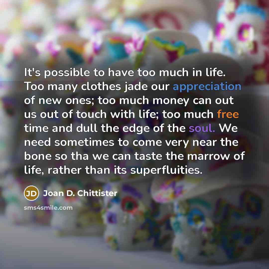“It's possible to have too much in life. Too many…” quote by Joan D. Chittister