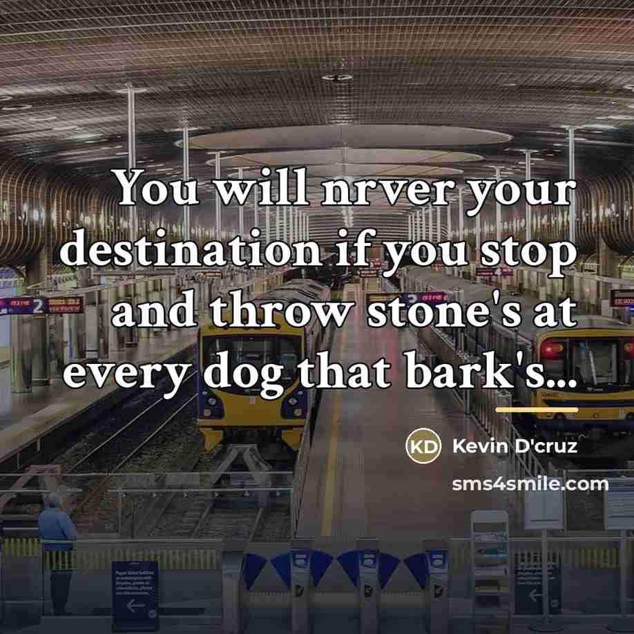 “You will nrver your destination if you stop and throw…” quote by Kevin D'cruz