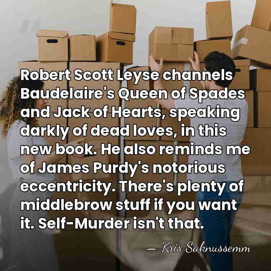 Robert Scott Leyse channels Baudelaire's Queen of Spades and Jack of Hearts,&hellip; - Kris Saknussemm
