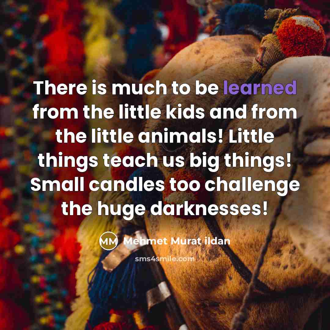 “There is much to be learned from the little kids…” quote by Mehmet Murat Ildan
