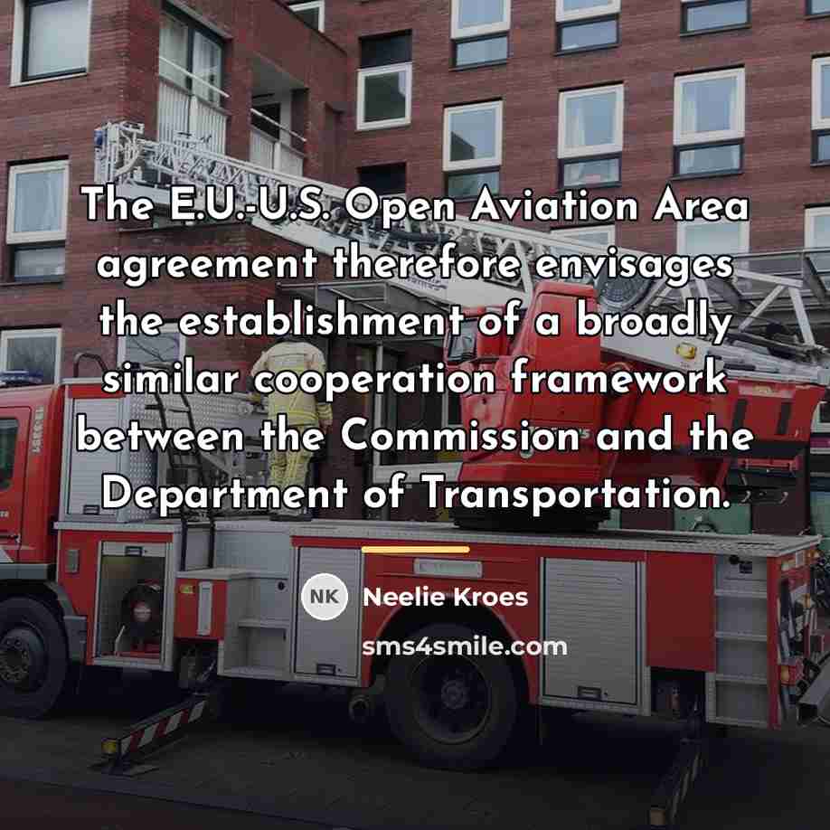 “The E.U.-U.S. Open Aviation Area agreement therefore envisages the establishment…” quote by Neelie Kroes