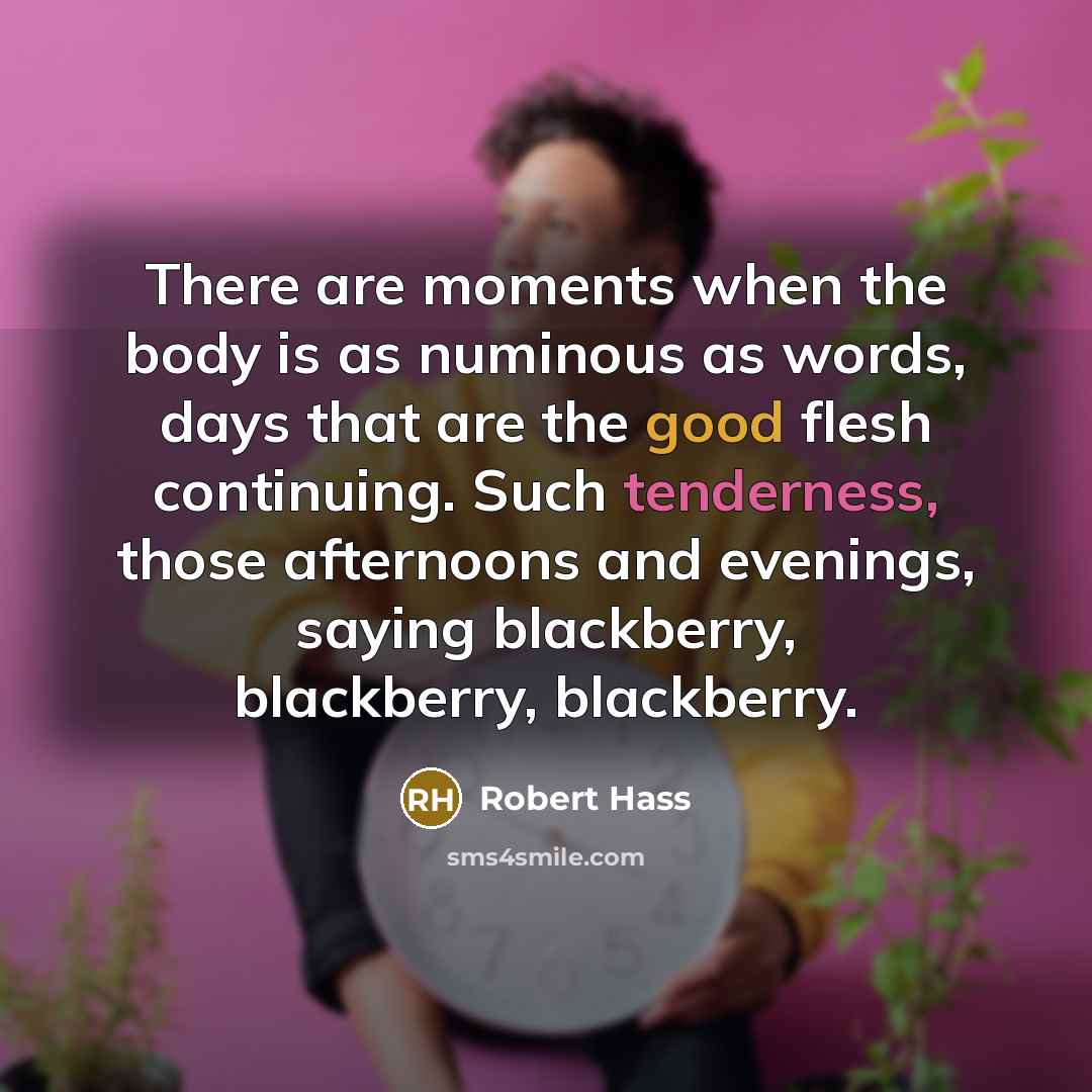“There are moments when the body is as numinous as…” quote by Robert Hass