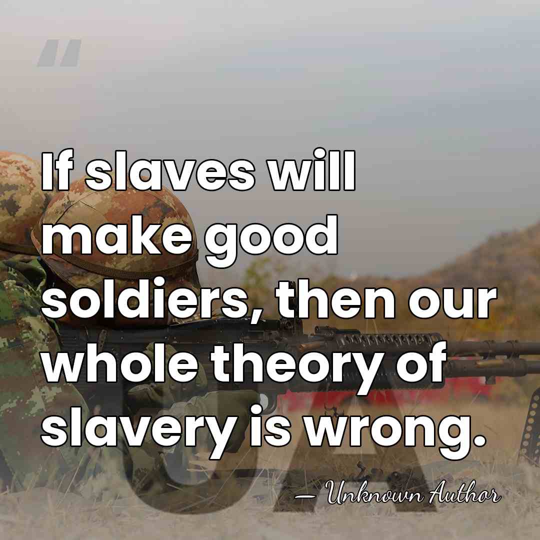 If slaves will make good soldiers, then our whole theory of slavery&hellip; - Howell Cobb