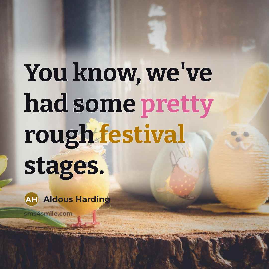 “You know, we've had some pretty rough festival stages.…” quote by Aldous Harding