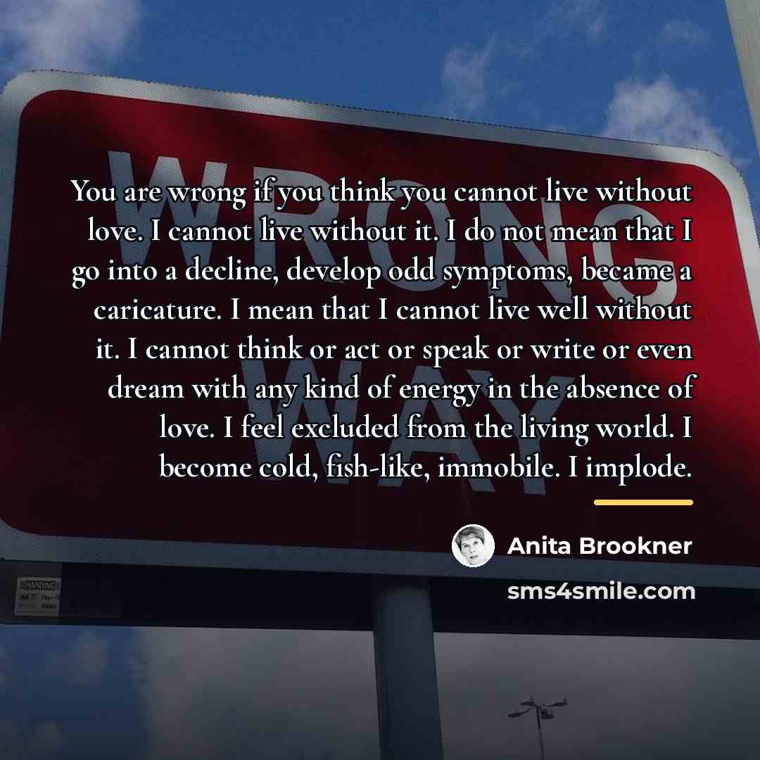 “You are wrong if you think you cannot live without…” quote by Anita Brookner