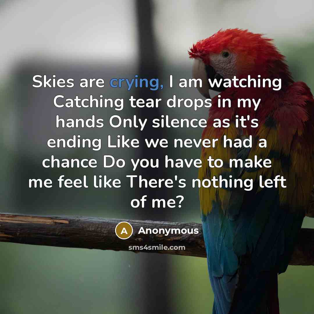 “Skies are crying, I am watching Catching tear drops in my hands Only silence as it's ending Like we never had a chance Do you have to make me feel like There's nothing left of me?” quote by Anonymous