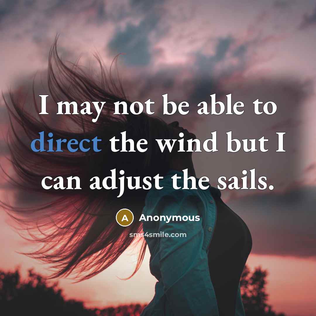 “I may not be able to direct the wind but…” quote by Anonymous