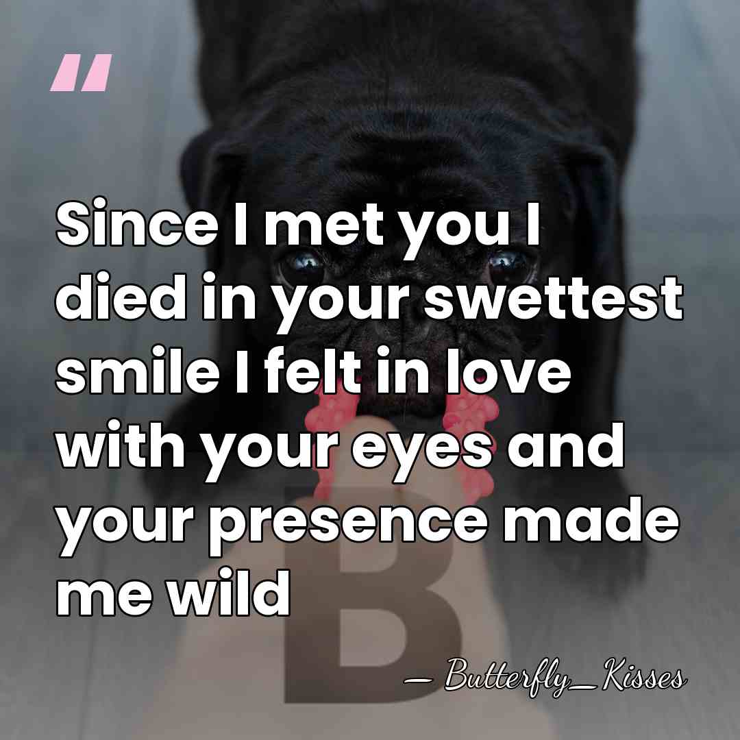 Since I met you I died in your swettest smile I felt&hellip; - Butterfly_Kisses