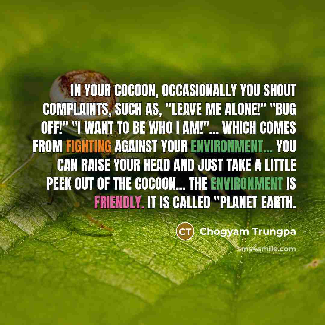 “In your cocoon, occasionally you shout complaints, such as, "Leave…” quote by Chogyam Trungpa