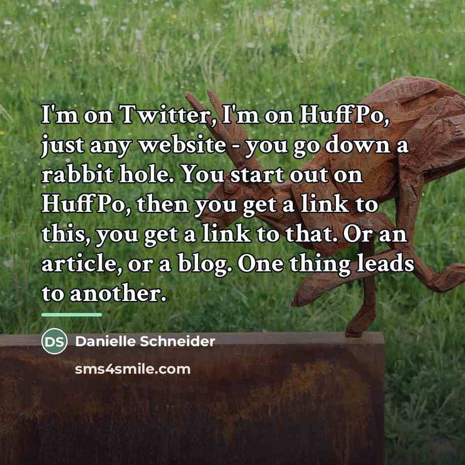 “I'm on Twitter, I'm on HuffPo, just any website -…” quote by Danielle Schneider