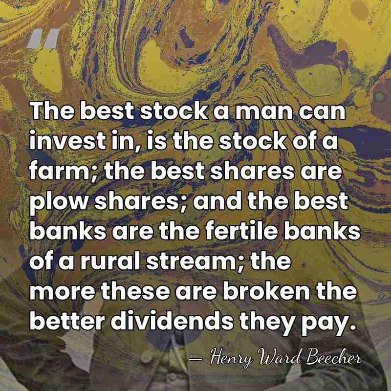 The best stock a man can invest in, is the stock of&hellip; - Henry Ward Beecher