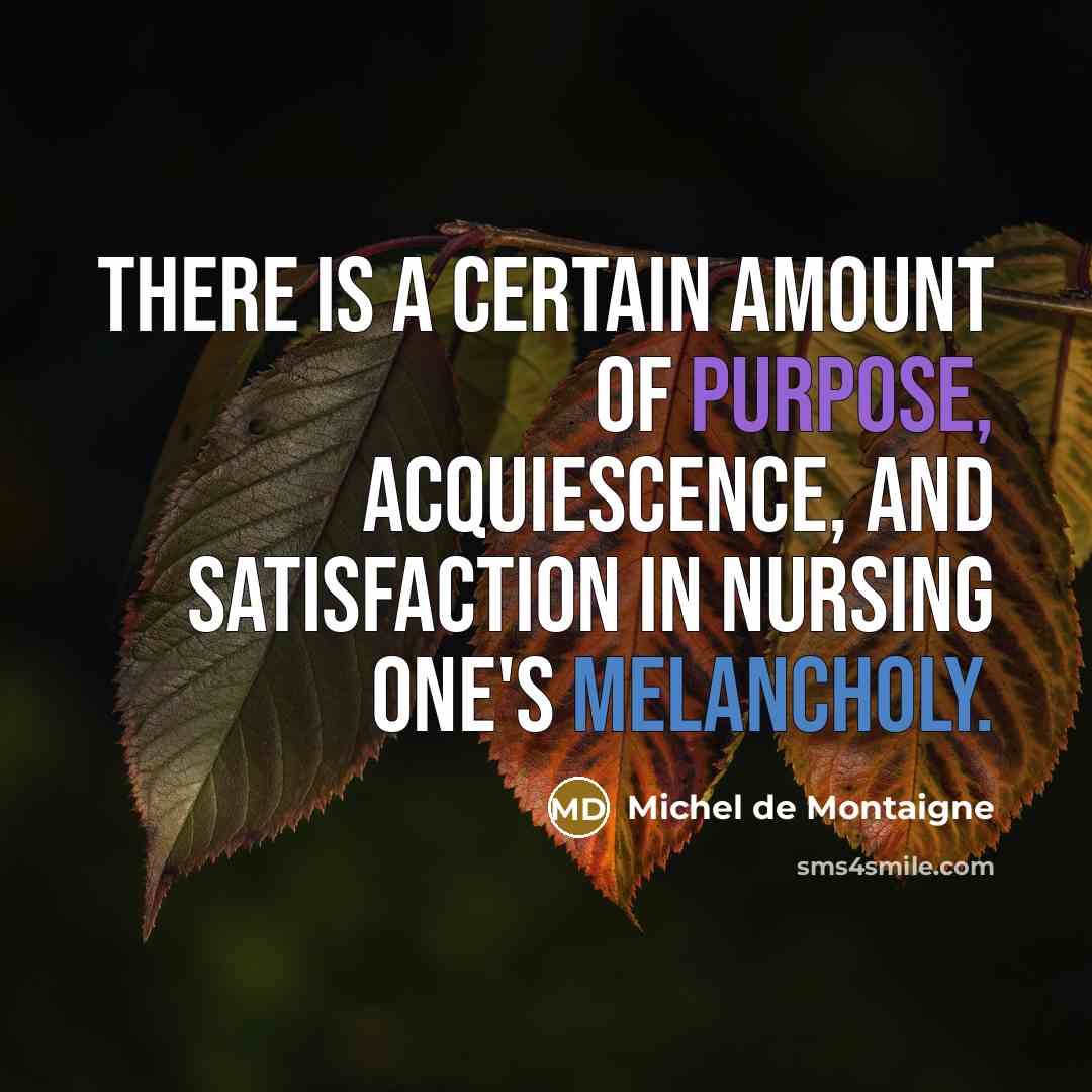 “There is a certain amount of purpose, acquiescence, and satisfaction…” quote by Michel De Montaigne