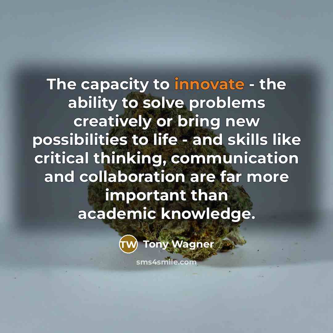 “The capacity to innovate - the ability to solve problems…” quote by Tony Wagner