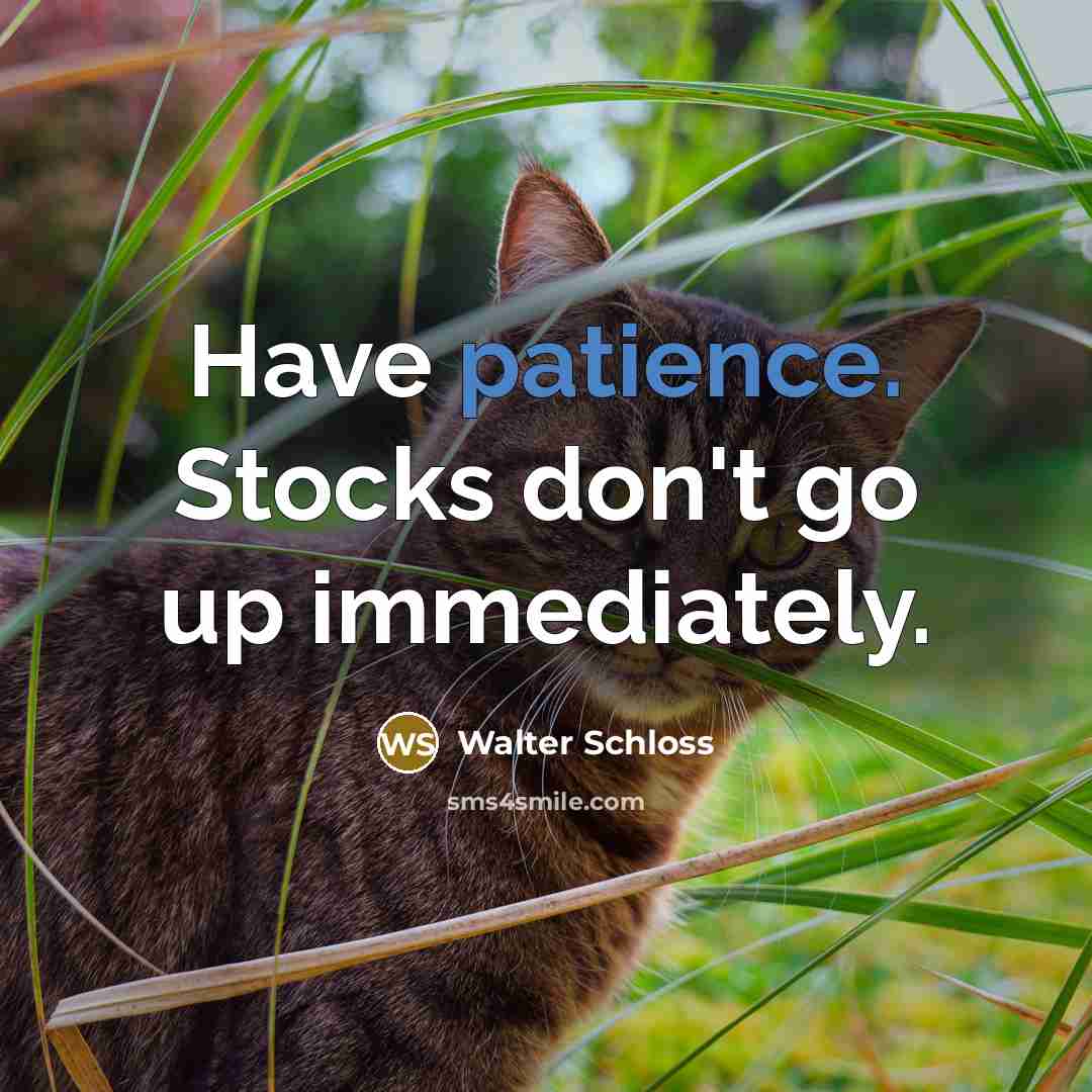 “Have patience. Stocks don't go up immediately.…” quote by Walter Schloss