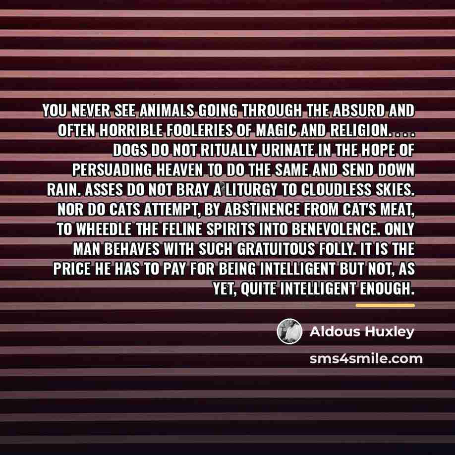 “You never see animals going through the absurd and often…” quote by Aldous Huxley