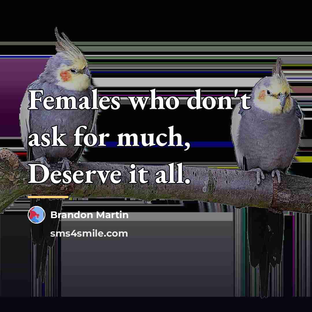 “Females who don't ask for much, Deserve it all.…” quote by Brandon Martin