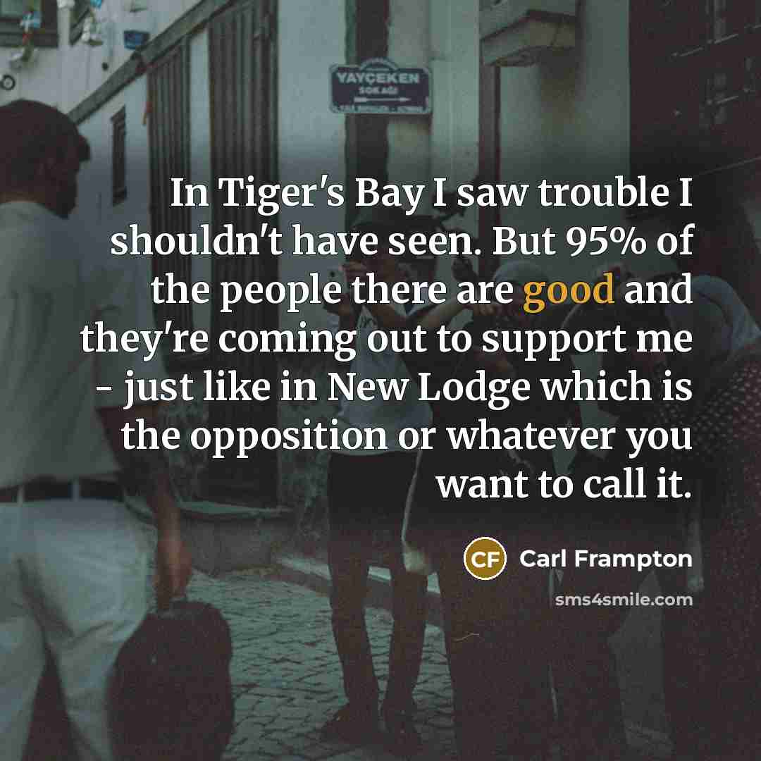 “In Tiger's Bay I saw trouble I shouldn't have seen.…” quote by Carl Frampton