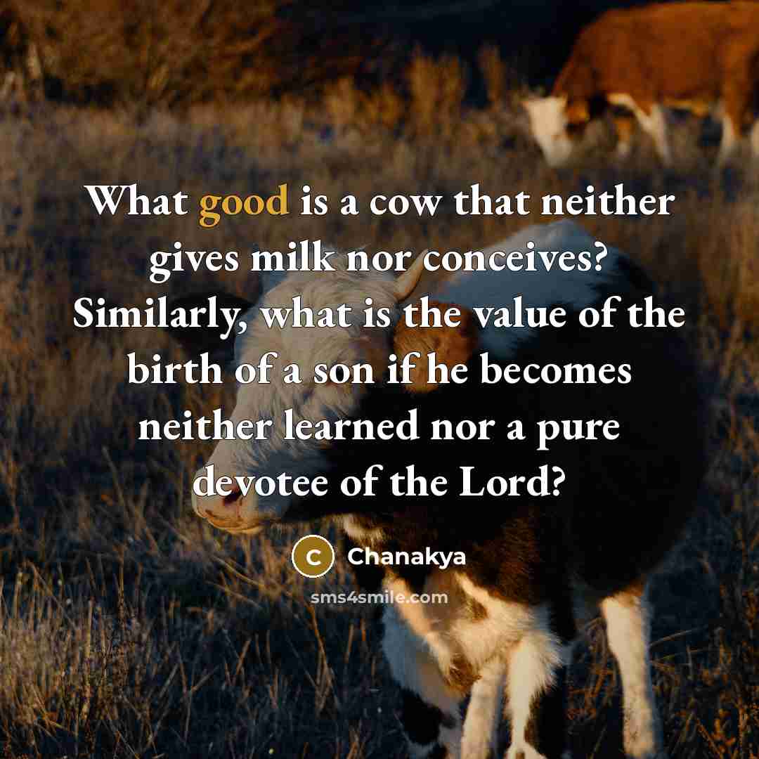 “What good is a cow that neither gives milk nor…” quote by Chanakya