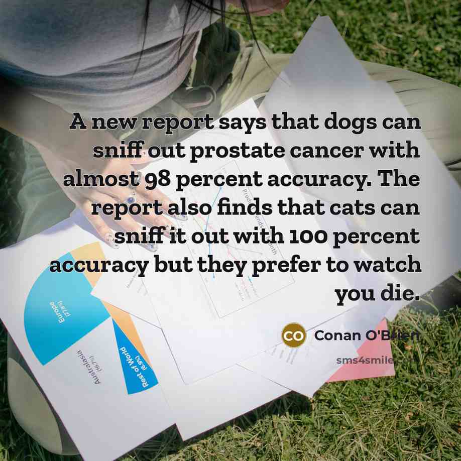 “A new report says that dogs can sniff out prostate…” quote by Conan O'Brien