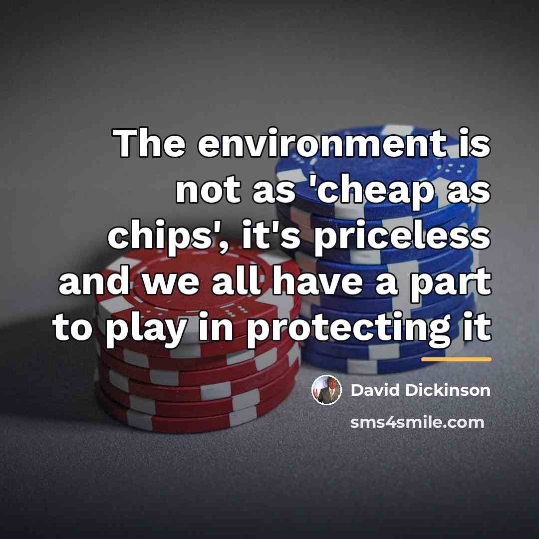 “The environment is not as 'cheap as chips', it's priceless…” quote by David Dickinson