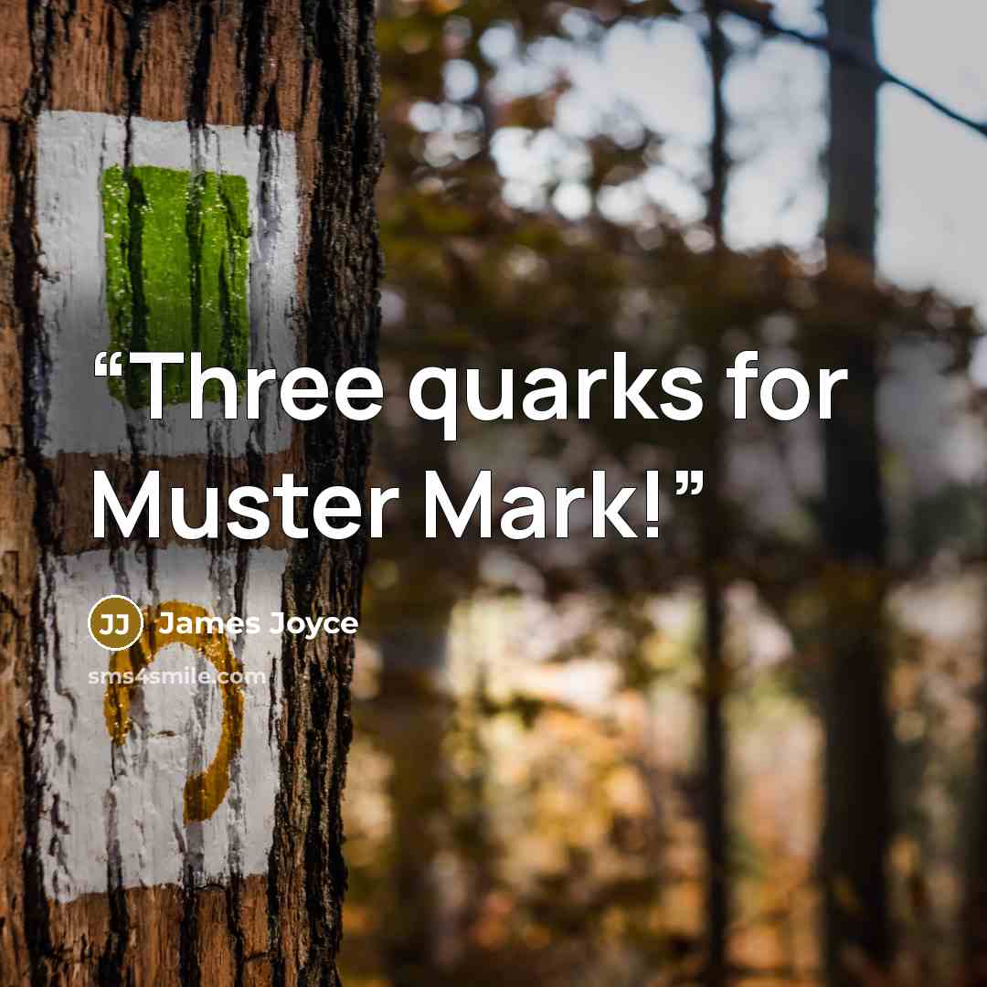 “Three quarks for Muster Mark!” quote by James Joyce