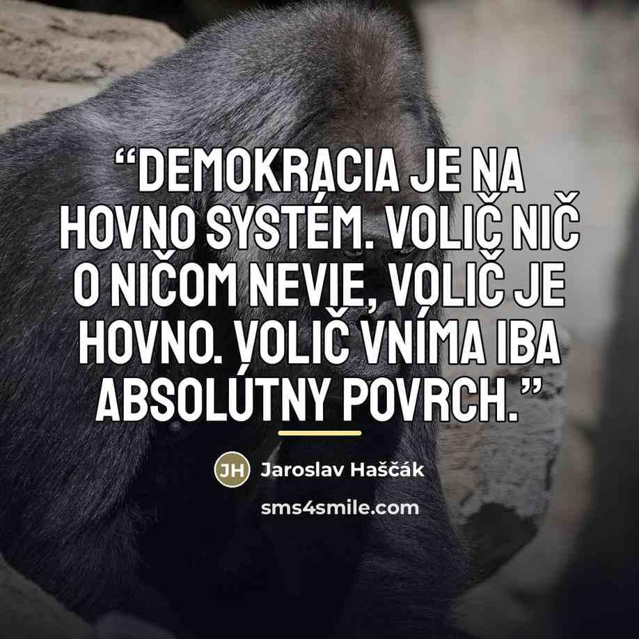 “Demokracia je na hovno systém. Volič nič o ničom nevie, volič je hovno. Volič vníma iba absolútny povrch.” quote by Jaroslav Haščák