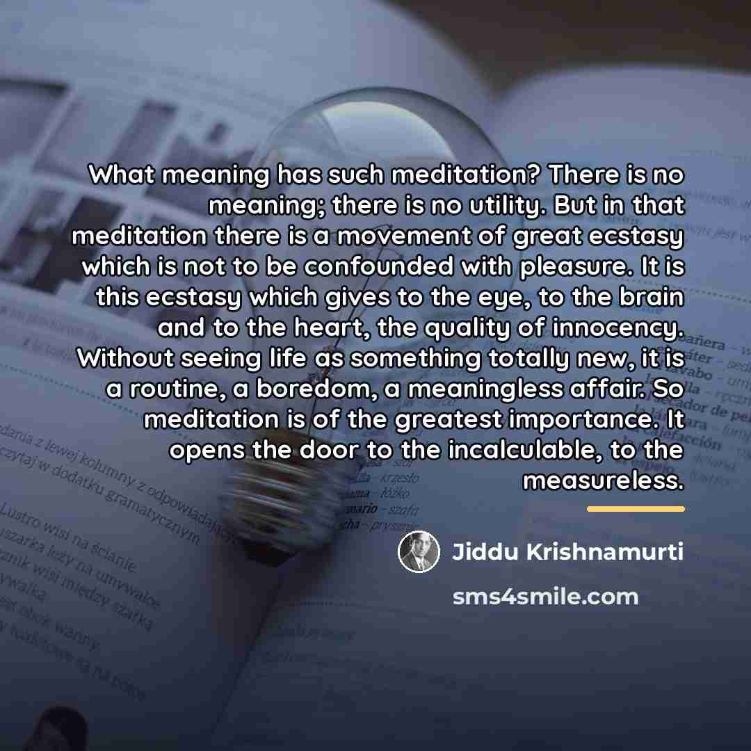 “What meaning has such meditation? There is no meaning; there…” quote by Jiddu Krishnamurti
