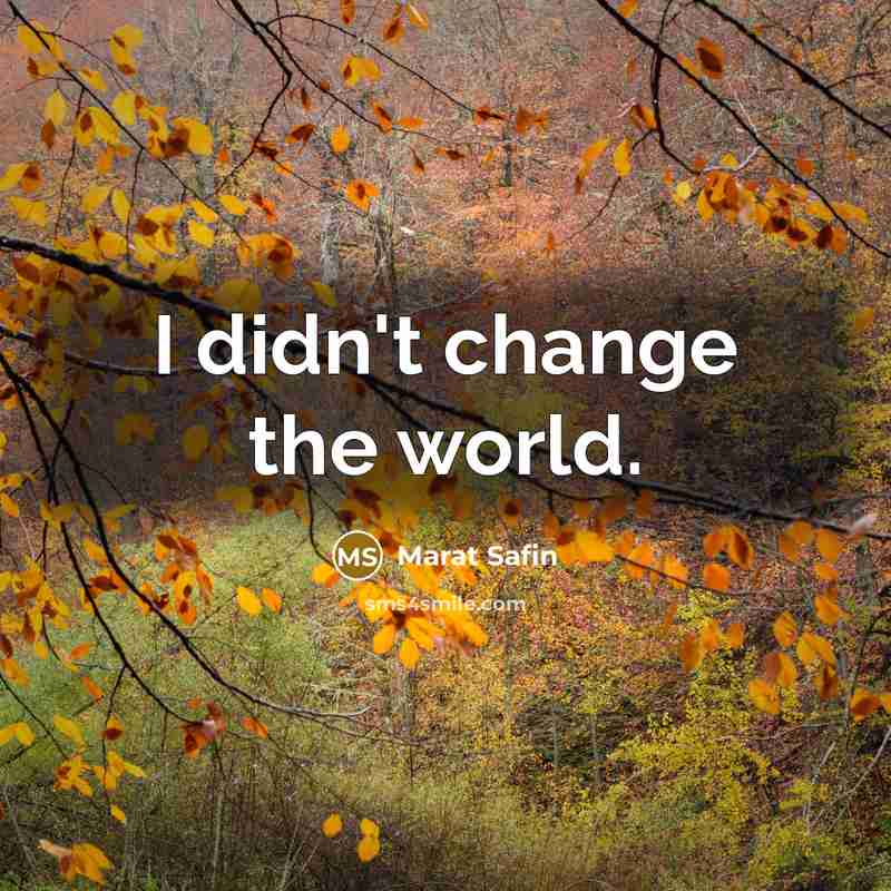 “I didn't change the world.…” quote by Marat Safin