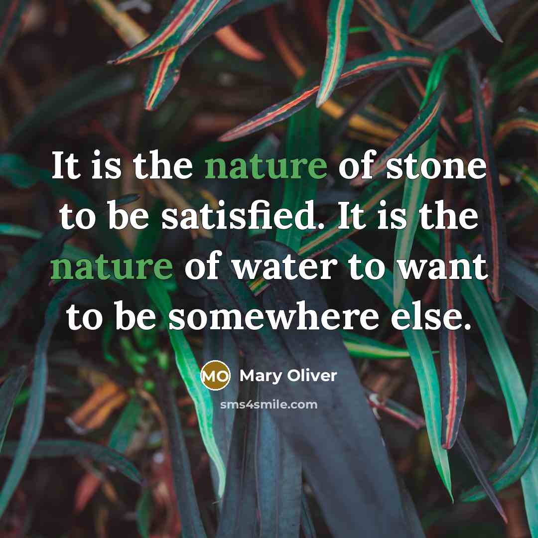 “It is the nature of stone to be satisfied. It…” quote by Mary Oliver