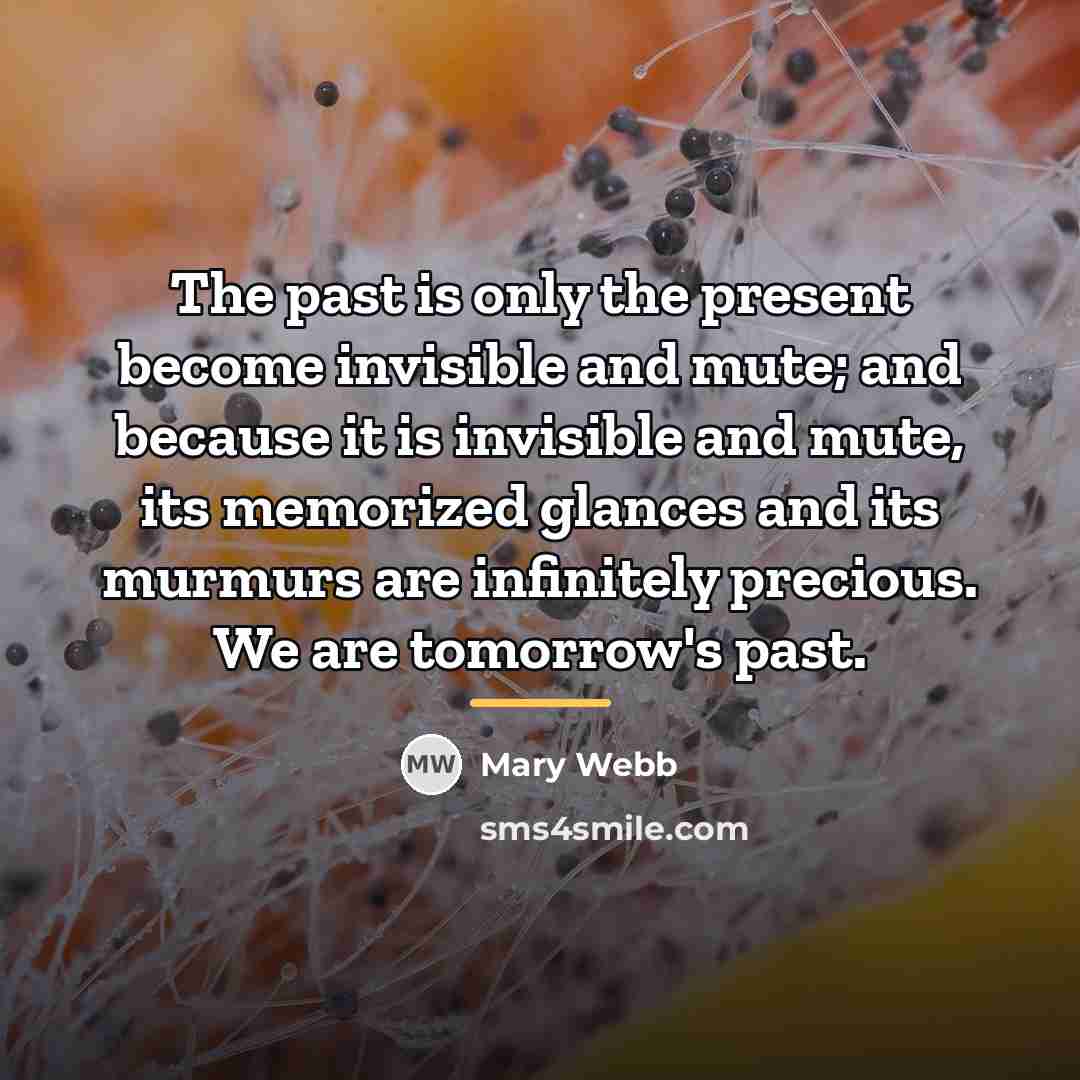 “The past is only the present become invisible and mute;…” quote by Mary Webb
