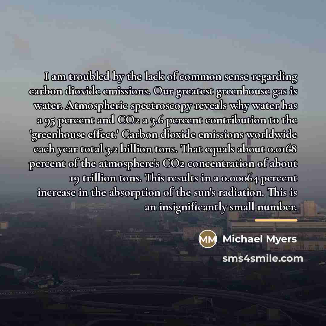 “I am troubled by the lack of common sense regarding…” quote by Michael Myers