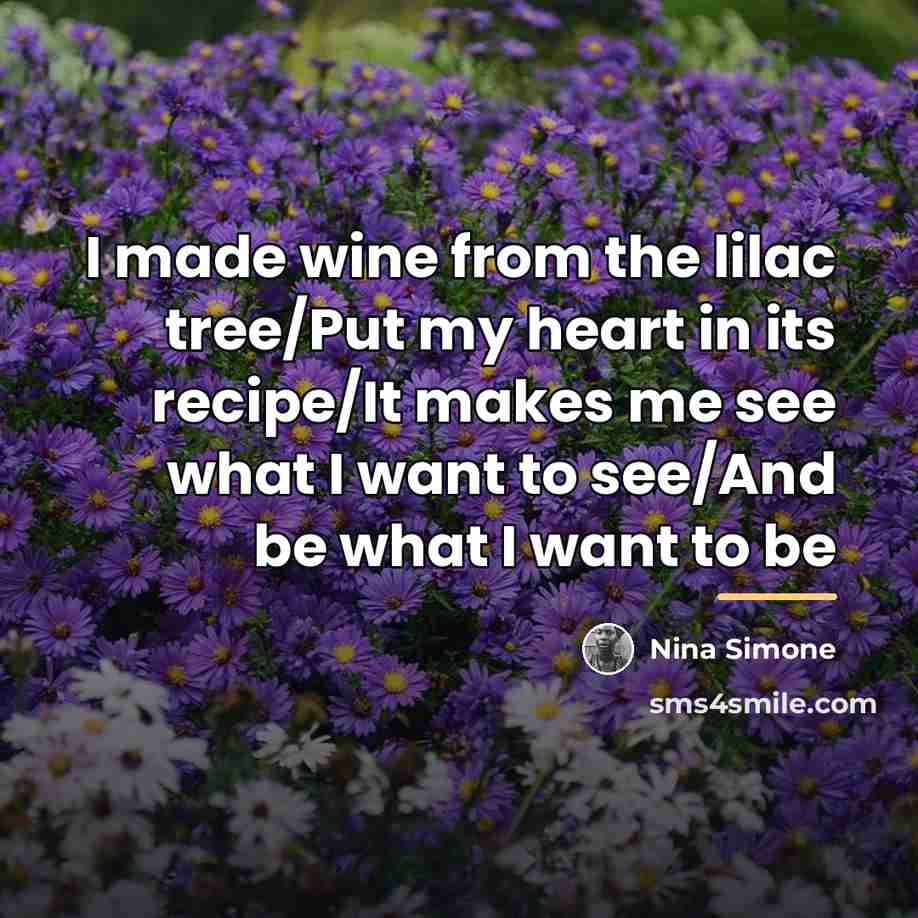 “I made wine from the lilac tree/Put my heart in…” quote by Nina Simone
