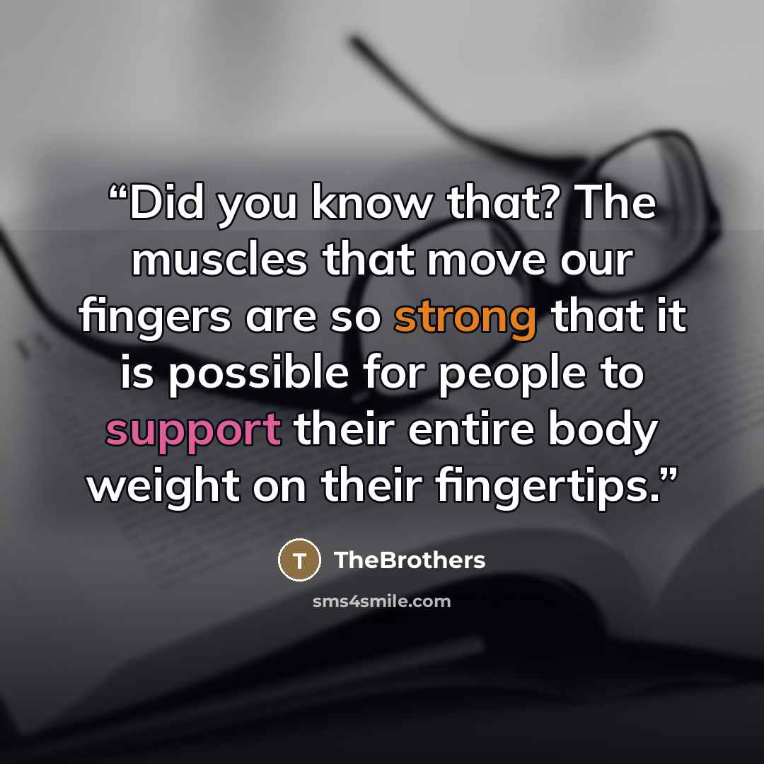 “Did you know that? The muscles that move our fingers are so strong that it is possible for people to support their entire body weight on their fingertips.” quote by TheBrothers