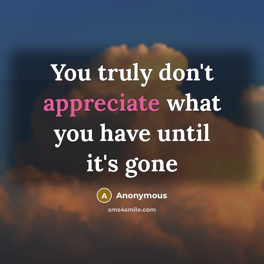 “You truly don't appreciate what you have until it's gone” quote by Anonymous