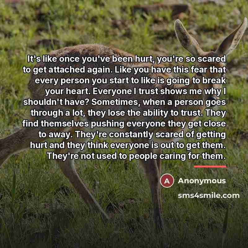 “It's like once you've been hurt, you're so scared to…” quote by Anonymous