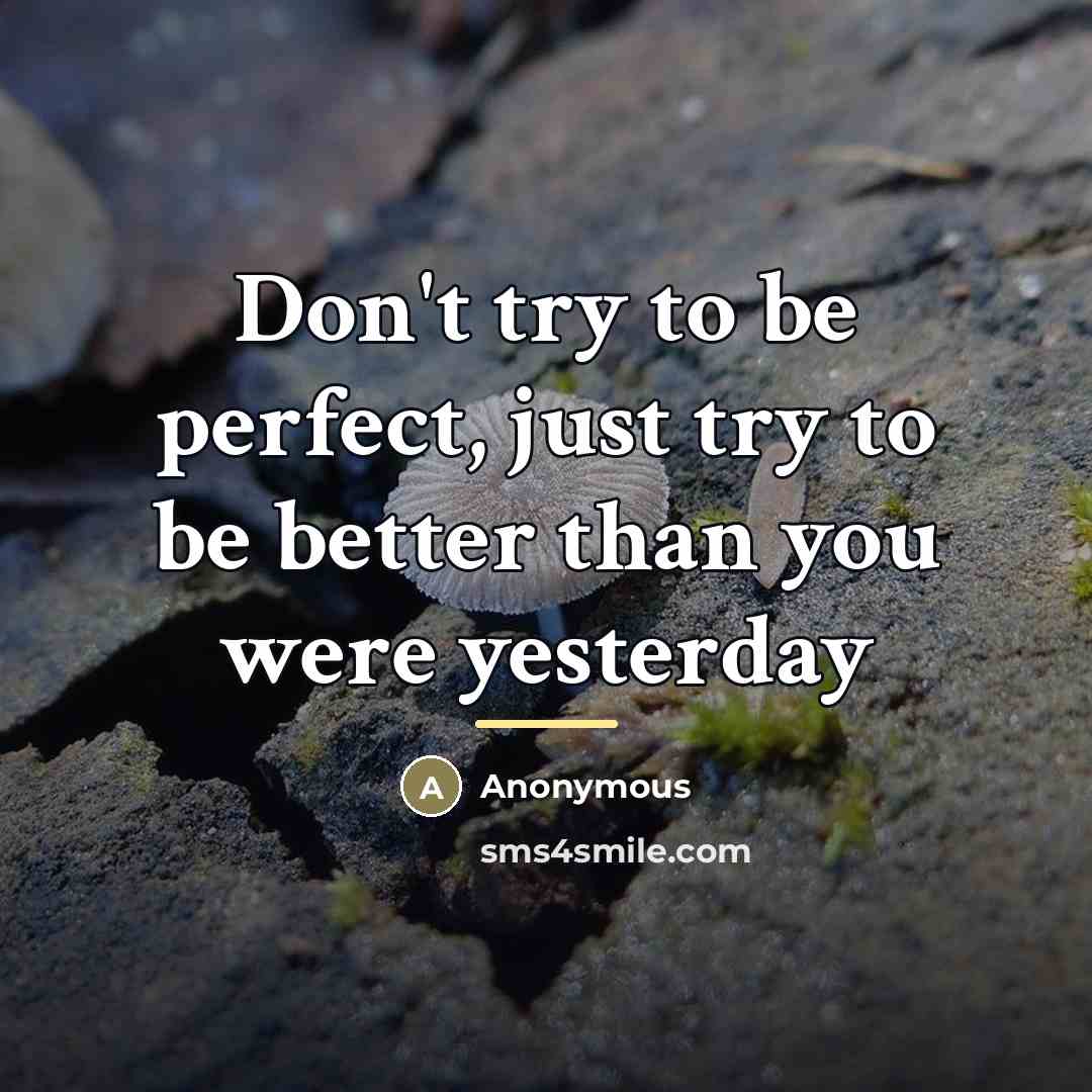 “Don't try to be perfect, just try to be better…” quote by Anonymous