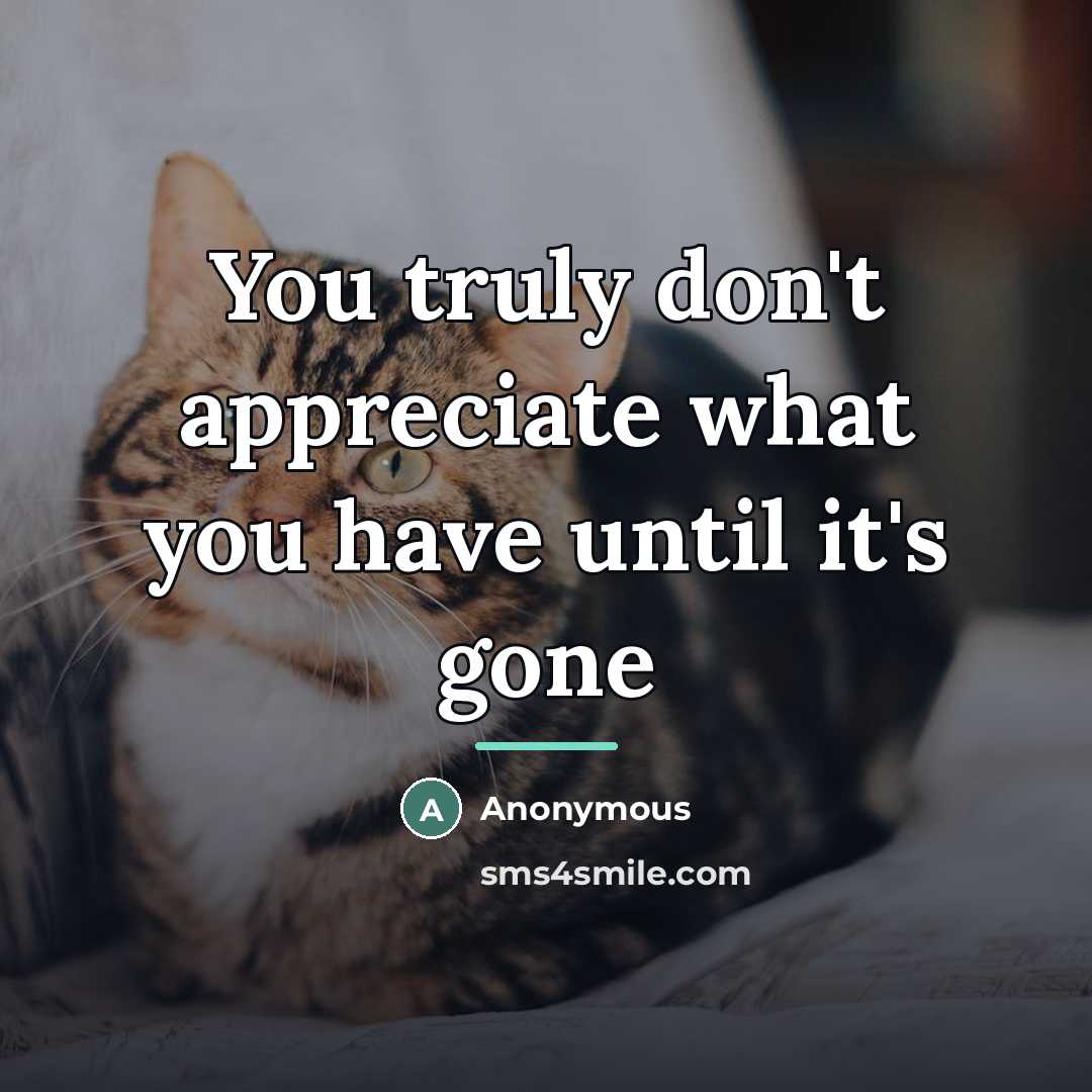 “You truly don't appreciate what you have until it's gone…” quote by Anonymous