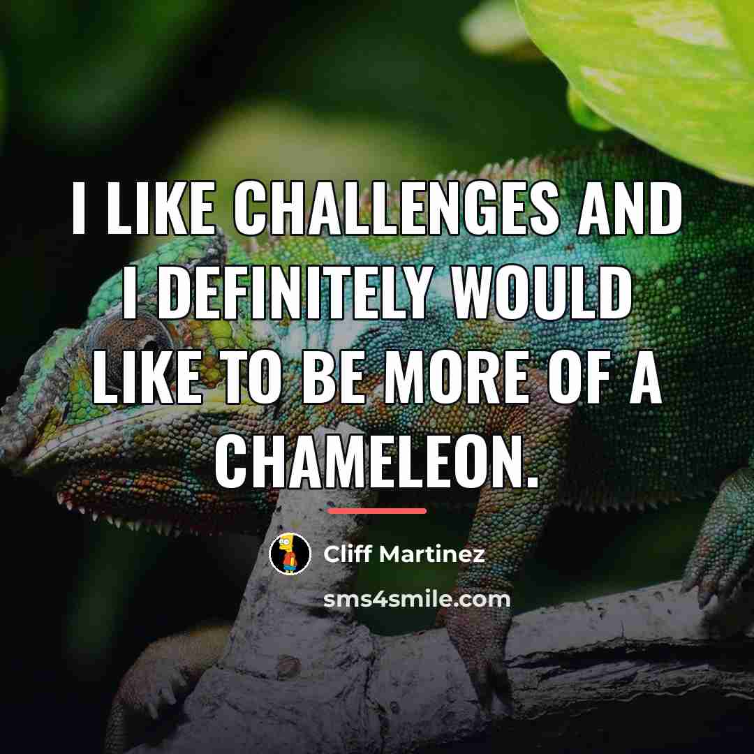 “I like challenges and I definitely would like to be…” quote by Cliff Martinez