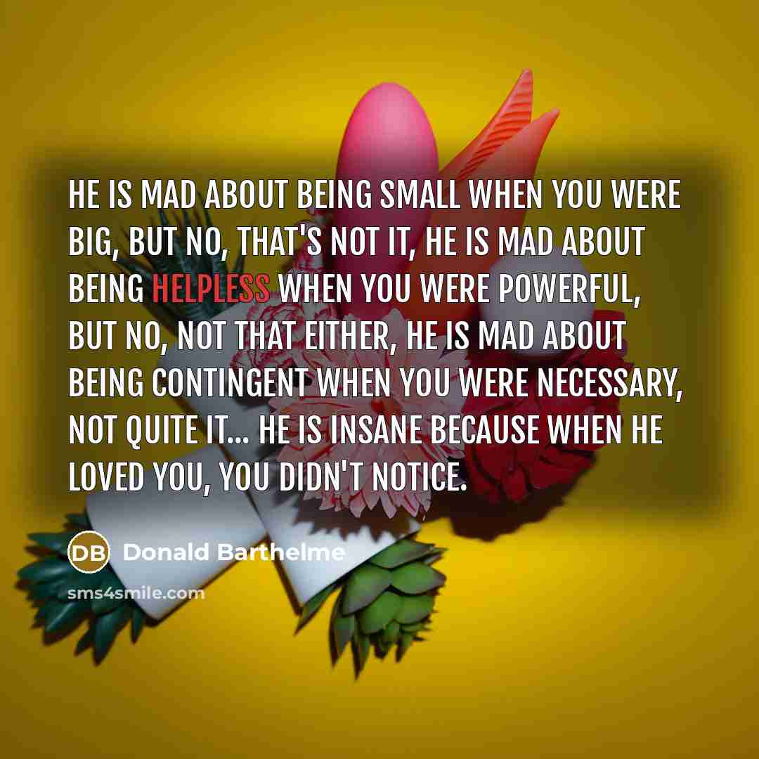 “He is mad about being small when you were big,…” quote by Donald Barthelme