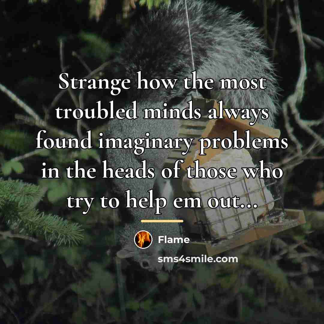 “Strange how the most troubled minds always found imaginary problems…” quote by Flame