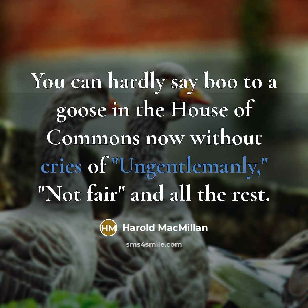“You can hardly say boo to a goose in the…” quote by Harold MacMillan