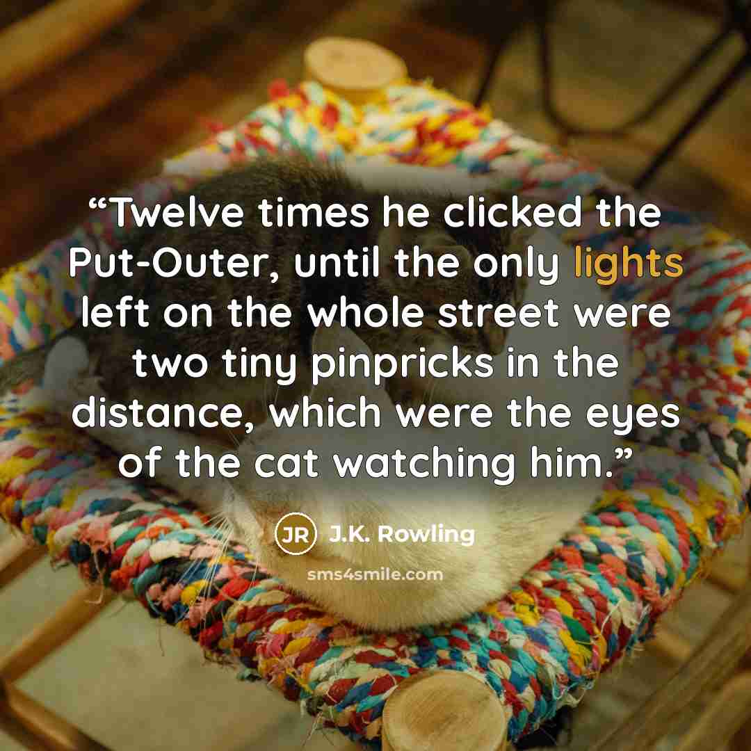 “Twelve times he clicked the Put-Outer, until the only lights left on the whole street were two tiny pinpricks in the distance, which were the eyes of the cat watching him.” quote by J.K. Rowling